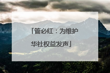 管必红：为维护华社权益发声