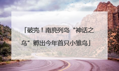 破壳！南麂列岛“神话之鸟”孵出今年首只小雏鸟