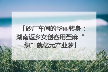 砂厂车间的华丽转身：湖南返乡女创客用苎麻“织”就亿元产业梦
