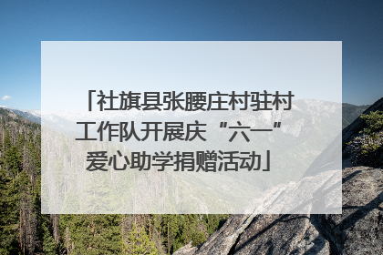 社旗县张腰庄村驻村工作队开展庆“六一”爱心助学捐赠活动