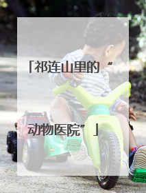 祁连山里的“动物医院”