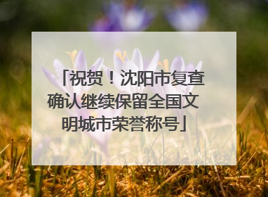 祝贺！沈阳市复查确认继续保留全国文明城市荣誉称号