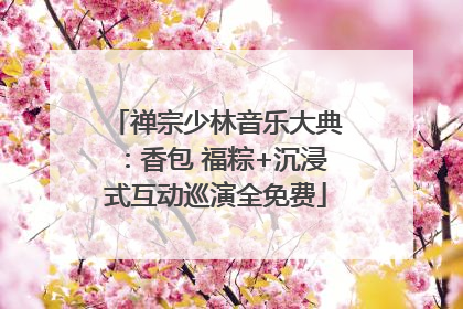 禅宗少林音乐大典：香包 福粽+沉浸式互动巡演全免费