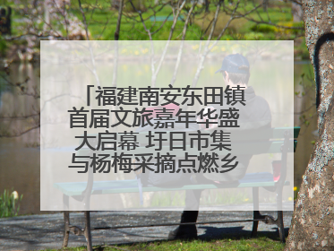 福建南安东田镇首届文旅嘉年华盛大启幕 圩日市集与杨梅采摘点燃乡村振兴新动能