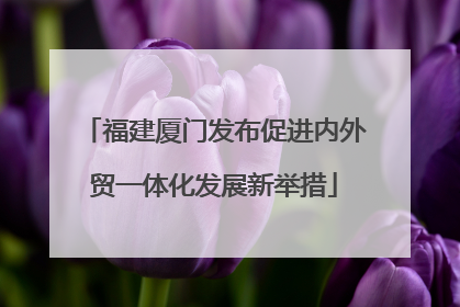福建厦门发布促进内外贸一体化发展新举措