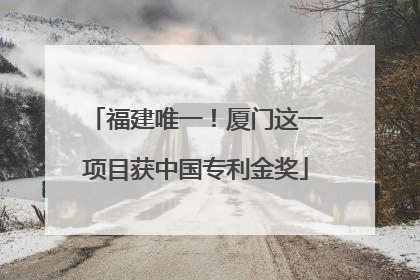福建唯一！厦门这一项目获中国专利金奖