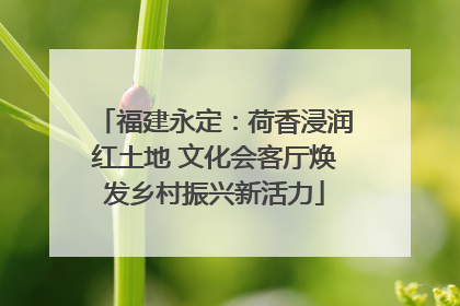 福建永定：荷香浸润红土地 文化会客厅焕发乡村振兴新活力
