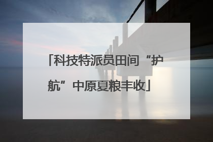 科技特派员田间“护航”中原夏粮丰收