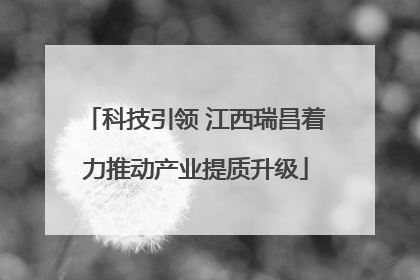 科技引领 江西瑞昌着力推动产业提质升级
