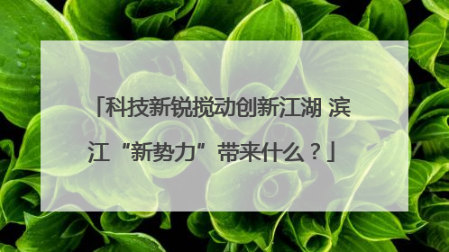 科技新锐搅动创新江湖 滨江“新势力”带来什么？