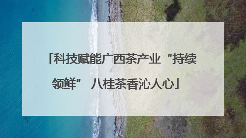 科技赋能广西茶产业“持续领鲜” 八桂茶香沁人心