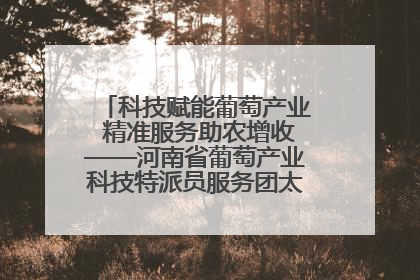科技赋能葡萄产业 精准服务助农增收——河南省葡萄产业科技特派员服务团太康县科技服务纪实
