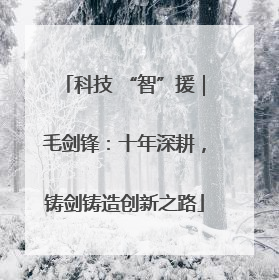 科技 “智”援｜毛剑锋：十年深耕，铸剑铸造创新之路