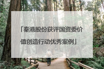 秦港股份获评国资委价值创造行动优秀案例