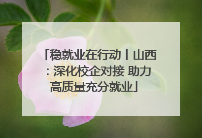 稳就业在行动丨山西：深化校企对接 助力高质量充分就业