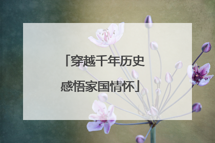 穿越千年历史 感悟家国情怀