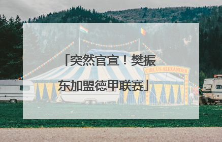 突然官宣！樊振东加盟德甲联赛