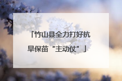 竹山县全力打好抗旱保苗“主动仗”