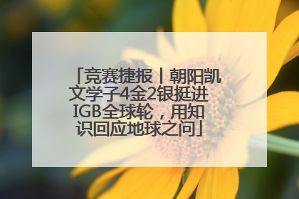 竞赛捷报丨朝阳凯文学子4金2银挺进IGB全球轮，用知识回应地球之问