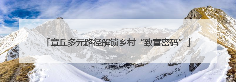 章丘多元路径解锁乡村“致富密码”