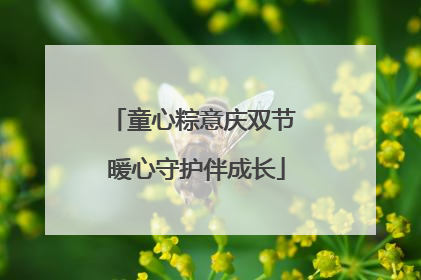 童心粽意庆双节 暖心守护伴成长