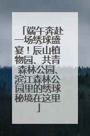 端午奔赴一场绣球盛宴！辰山植物园、共青森林公园、滨江森林公园里的绣球秘境在这里