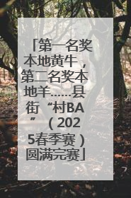 第一名奖本地黄牛，第二名奖本地羊……县街“村BA”（2025春季赛）圆满完赛