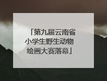 第九届云南省小学生野生动物绘画大赛落幕
