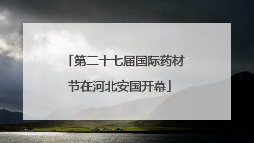 第二十七届国际药材节在河北安国开幕