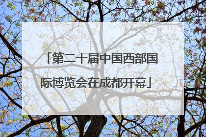 第二十届中国西部国际博览会在成都开幕