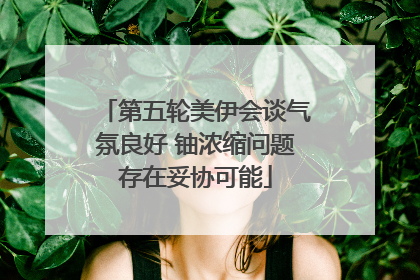 第五轮美伊会谈气氛良好 铀浓缩问题存在妥协可能