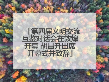 第四届文明交流互鉴对话会在敦煌开幕 胡昌升出席开幕式并致辞