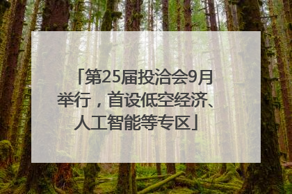第25届投洽会9月举行，首设低空经济、人工智能等专区