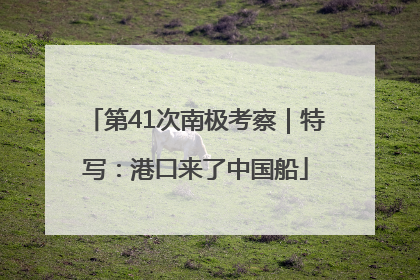 第41次南极考察｜特写：港口来了中国船