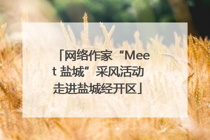 网络作家“Meet 盐城”采风活动走进盐城经开区