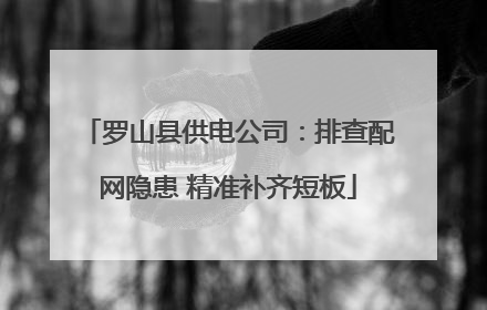 罗山县供电公司：排查配网隐患 精准补齐短板