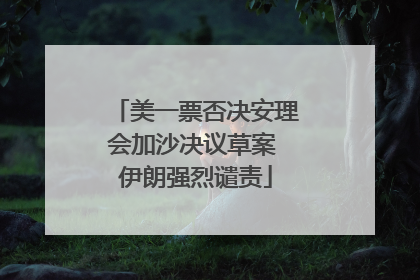 美一票否决安理会加沙决议草案 伊朗强烈谴责