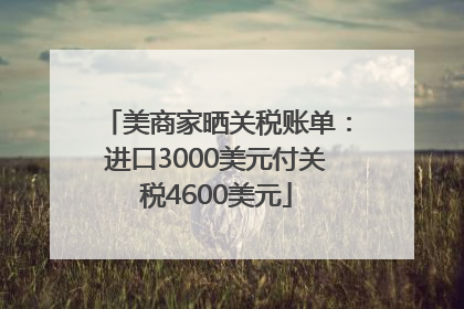 美商家晒关税账单：进口3000美元付关税4600美元