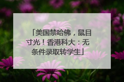 美国禁哈佛，鼠目寸光！香港科大：无条件录取转学生