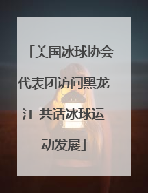 美国冰球协会代表团访问黑龙江 共话冰球运动发展