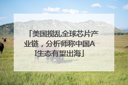 美国搅乱全球芯片产业链，分析师称中国AI生态有望出海