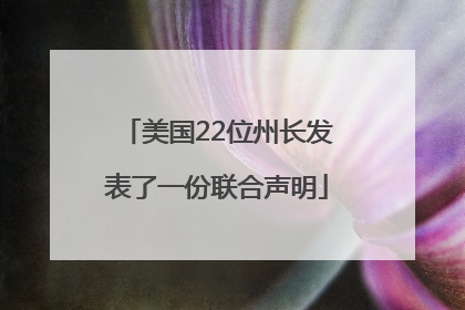 美国22位州长发表了一份联合声明