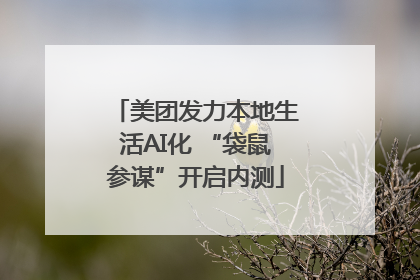 美团发力本地生活AI化 “袋鼠参谋”开启内测