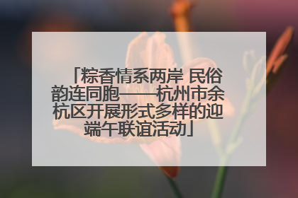 粽香情系两岸 民俗韵连同胞——杭州市余杭区开展形式多样的迎端午联谊活动