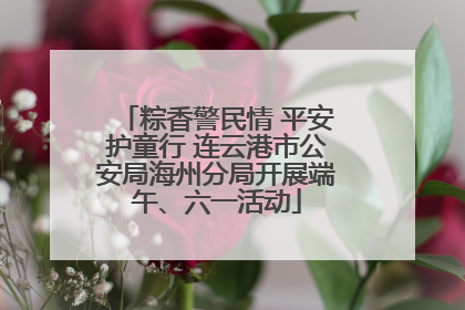 粽香警民情 平安护童行 连云港市公安局海州分局开展端午、六一活动