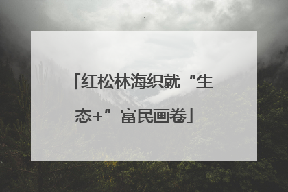 红松林海织就“生态+”富民画卷