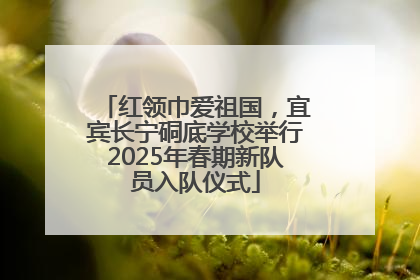 红领巾爱祖国，宜宾长宁硐底学校举行2025年春期新队员入队仪式