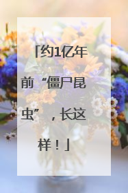 约1亿年前“僵尸昆虫”，长这样！