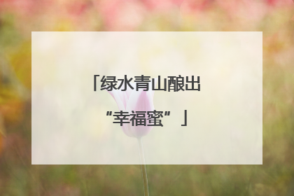 绿水青山酿出“幸福蜜”