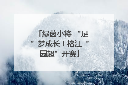 绿茵小将 “足”梦成长！榕江“园超”开赛